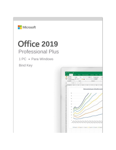 Office 2019 Professional plus (Reinstalable)