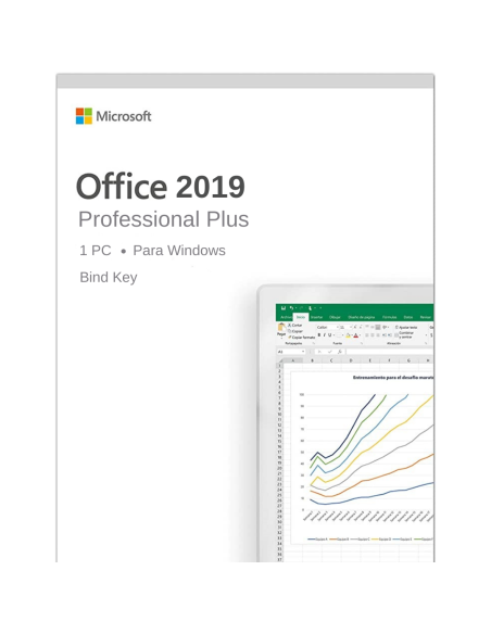 Office 2019 Professional plus (Reinstalable)