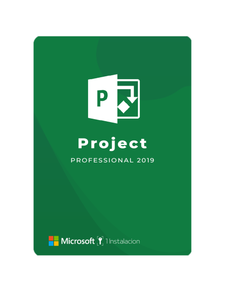 Project Professional 2019