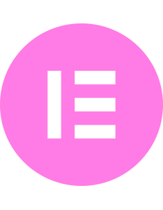 Elementor Pro - Wordpress Plugin